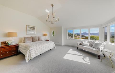 25 Turtle Rock Ct, Tiburon, CA 94920 photo 19