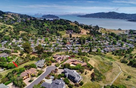 25 Turtle Rock Ct, Tiburon, CA 94920 photo 44