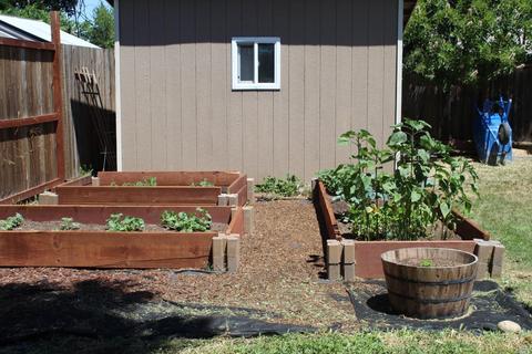 1306 Crowley Ln, Fairfield, CA 94533 photo 25