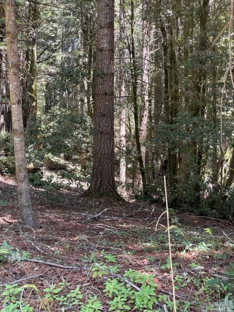 37124 Schooner Dr, The Sea Ranch, CA 95497