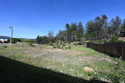 2012 Eagle Ct, Santa Rosa, CA 95403 photo 6