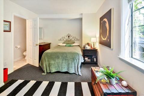 164 Almonte Blvd, Mill Valley, CA 94941 photo 46