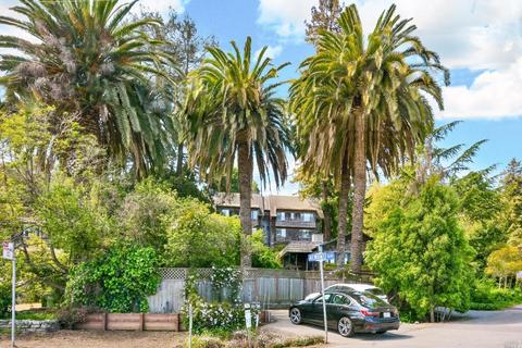 164 Almonte Blvd, Mill Valley, CA 94941 photo 48