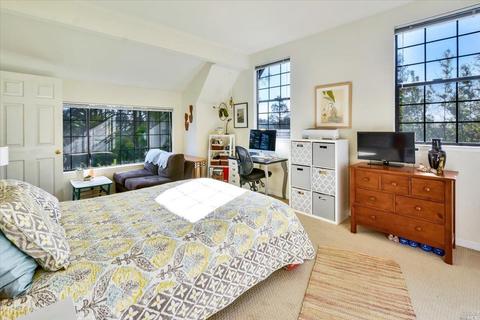 164 Almonte Blvd, Mill Valley, CA 94941 photo 23