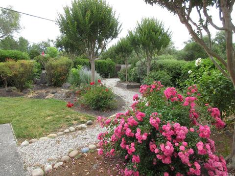 582 Este Madera Dr, Sonoma, CA 95476 photo 28