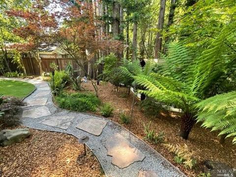 177 W Blithedale Ave, Mill Valley, CA 94941 photo 11