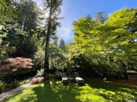 177 W Blithedale Ave, Mill Valley, CA 94941 photo 17
