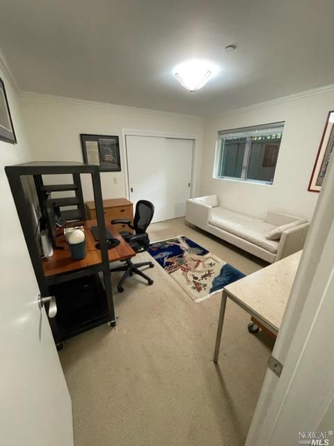 177 W Blithedale Ave, Mill Valley, CA 94941 photo 38
