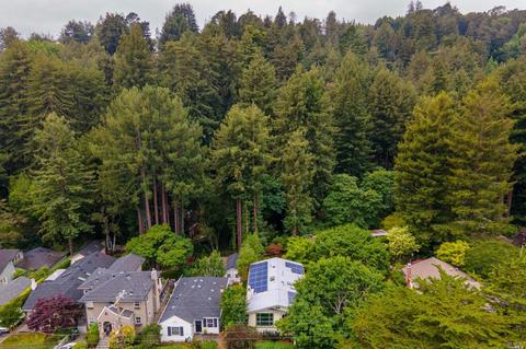 177 W Blithedale Ave, Mill Valley, CA 94941 photo 15