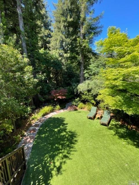 177 W Blithedale Ave, Mill Valley, CA 94941 photo 13
