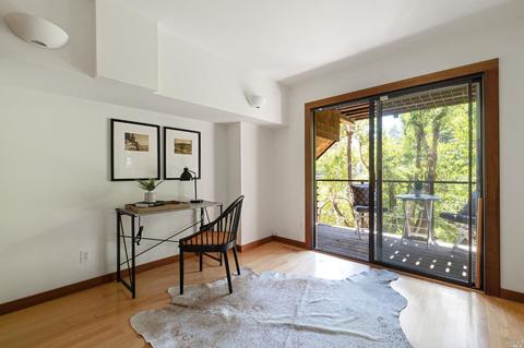237 Rose Ave, Mill Valley, CA 94941 photo 57