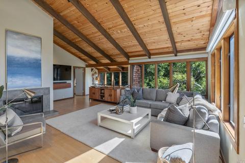 237 Rose Ave, Mill Valley, CA 94941 photo 34
