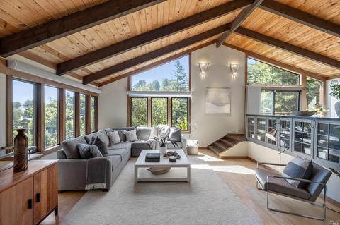 237 Rose Ave, Mill Valley, CA 94941 photo 32