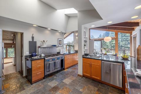 237 Rose Ave, Mill Valley, CA 94941 photo 44