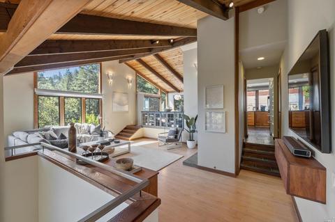 237 Rose Ave, Mill Valley, CA 94941 photo 31