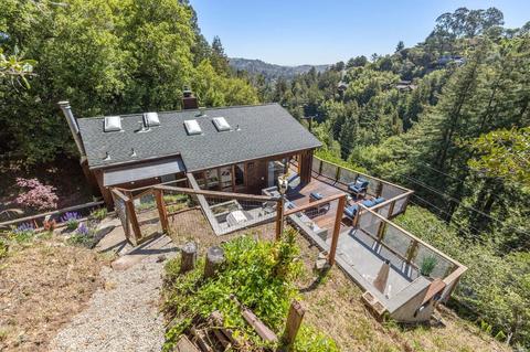 237 Rose Ave, Mill Valley, CA 94941 photo 70