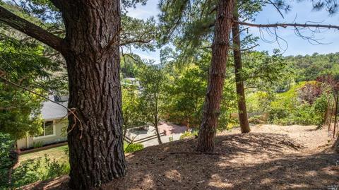 67 Gregory Dr, Fairfax, CA 94930 photo 33
