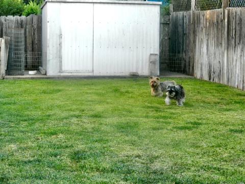 540 Cypress St, Dixon, CA 95620 photo 24