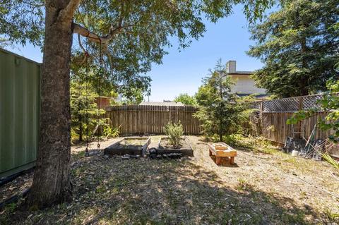 228 Payran St, Petaluma, CA 94952 photo 29