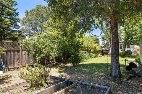 228 Payran St, Petaluma, CA 94952 photo 31