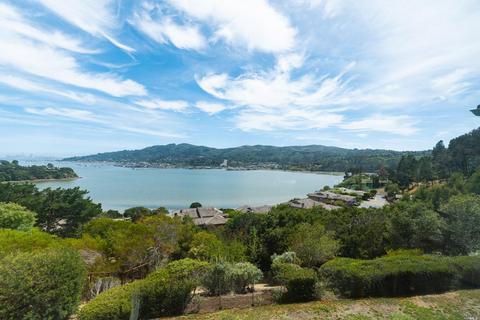 149 Chapel Dr, Mill Valley, CA 94941 photo 34