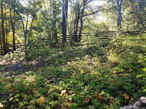 1701 Perch Rd, Willits, CA 95490 photo 12