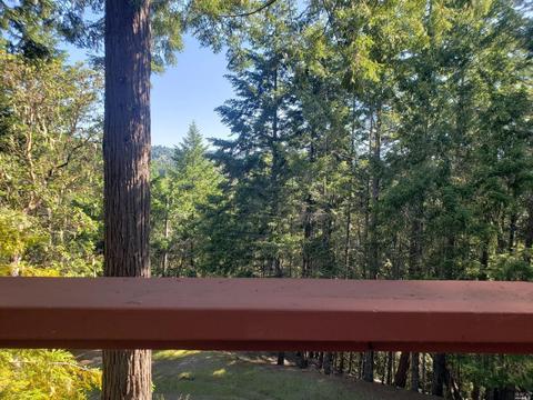 1701 Perch Rd, Willits, CA 95490 photo 10