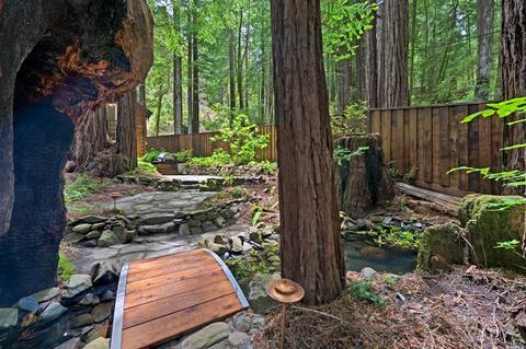 15201 Bittner Rd, Occidental, CA 95465 photo 33