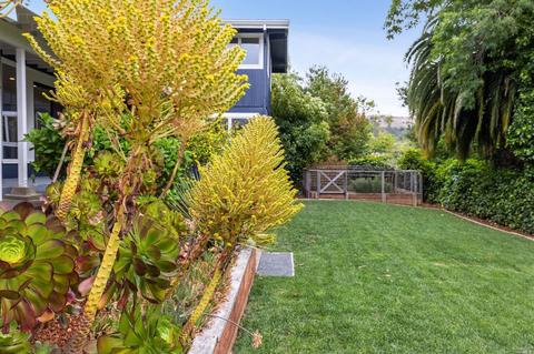 90 Rancho Dr, Tiburon, CA 94920 photo 42