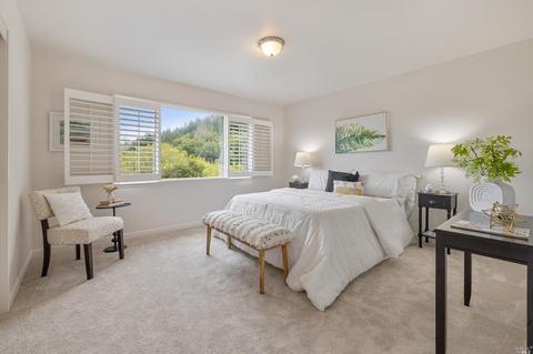103 Portola Ave, Lagunitas, CA 94938 photo 34