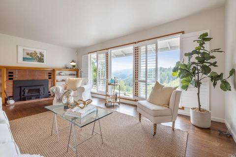 103 Portola Ave, Lagunitas, CA 94938 photo 18