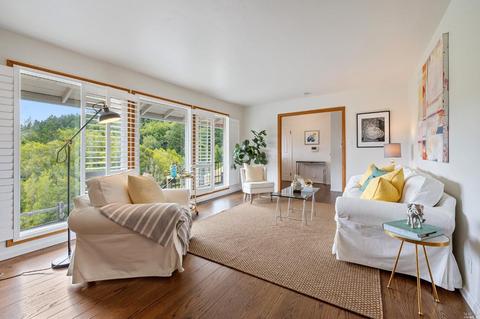 103 Portola Ave, Lagunitas, CA 94938 photo 21