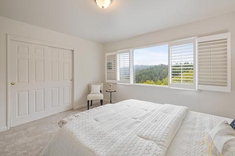103 Portola Ave, Lagunitas, CA 94938 photo 35