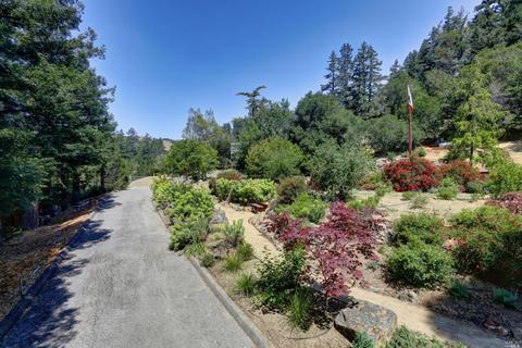 60 Arroyo Rd, Forest Knolls, CA 94933 photo 84