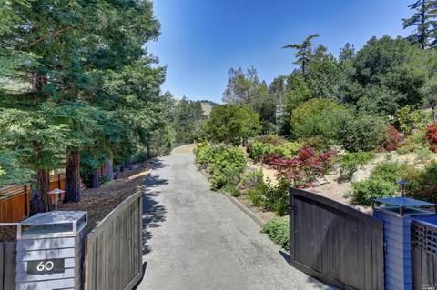 60 Arroyo Rd, Forest Knolls, CA 94933 photo 85