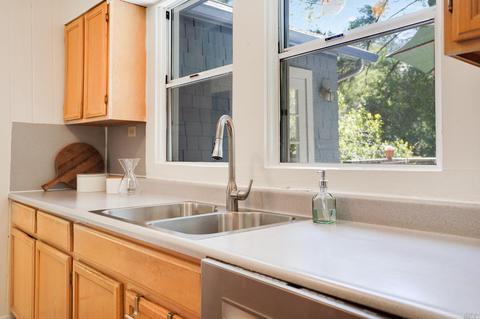 105 Lagunitas Rd, Lagunitas, CA 94938 photo 11
