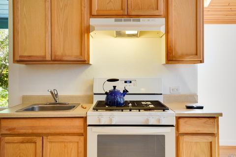 105 Lagunitas Rd, Lagunitas, CA 94938 photo 13