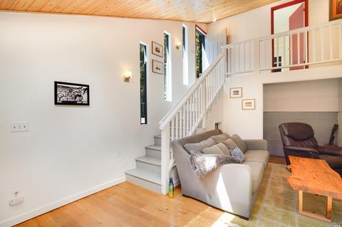 105 Lagunitas Rd, Lagunitas, CA 94938 photo 18