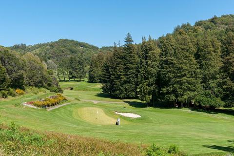 191 Circle Ave, Mill Valley, CA 94941 photo 54