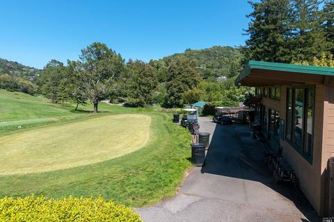 191 Circle Ave, Mill Valley, CA 94941 photo 53