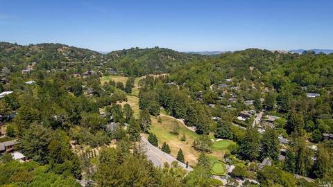 191 Circle Ave, Mill Valley, CA 94941 photo 46