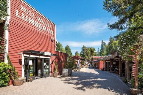 191 Circle Ave, Mill Valley, CA 94941 photo 57