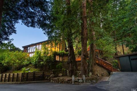 191 Circle Ave, Mill Valley, CA 94941 photo 47