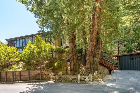 191 Circle Ave, Mill Valley, CA 94941 photo 42