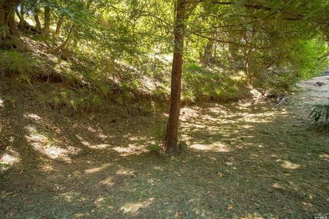 191 Circle Ave, Mill Valley, CA 94941 photo 37