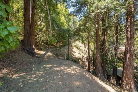 191 Circle Ave, Mill Valley, CA 94941 photo 38