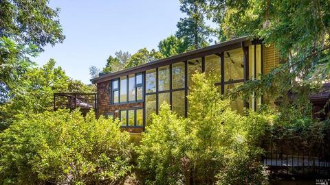 191 Circle Ave, Mill Valley, CA 94941 photo 23