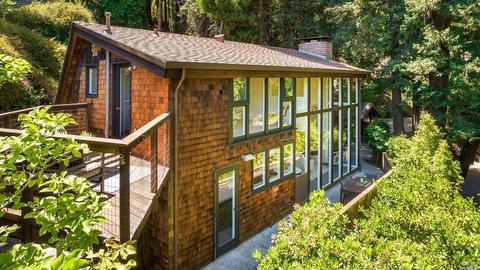 191 Circle Ave, Mill Valley, CA 94941 photo 45