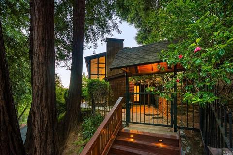 191 Circle Ave, Mill Valley, CA 94941 photo 48