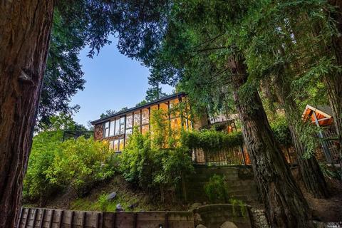 191 Circle Ave, Mill Valley, CA 94941 photo 51